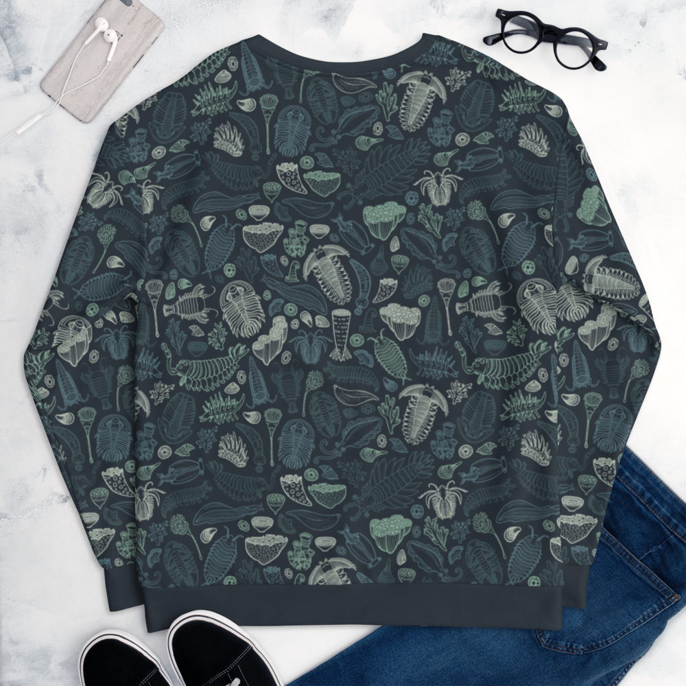 Cambrian Explosion sweatshirt