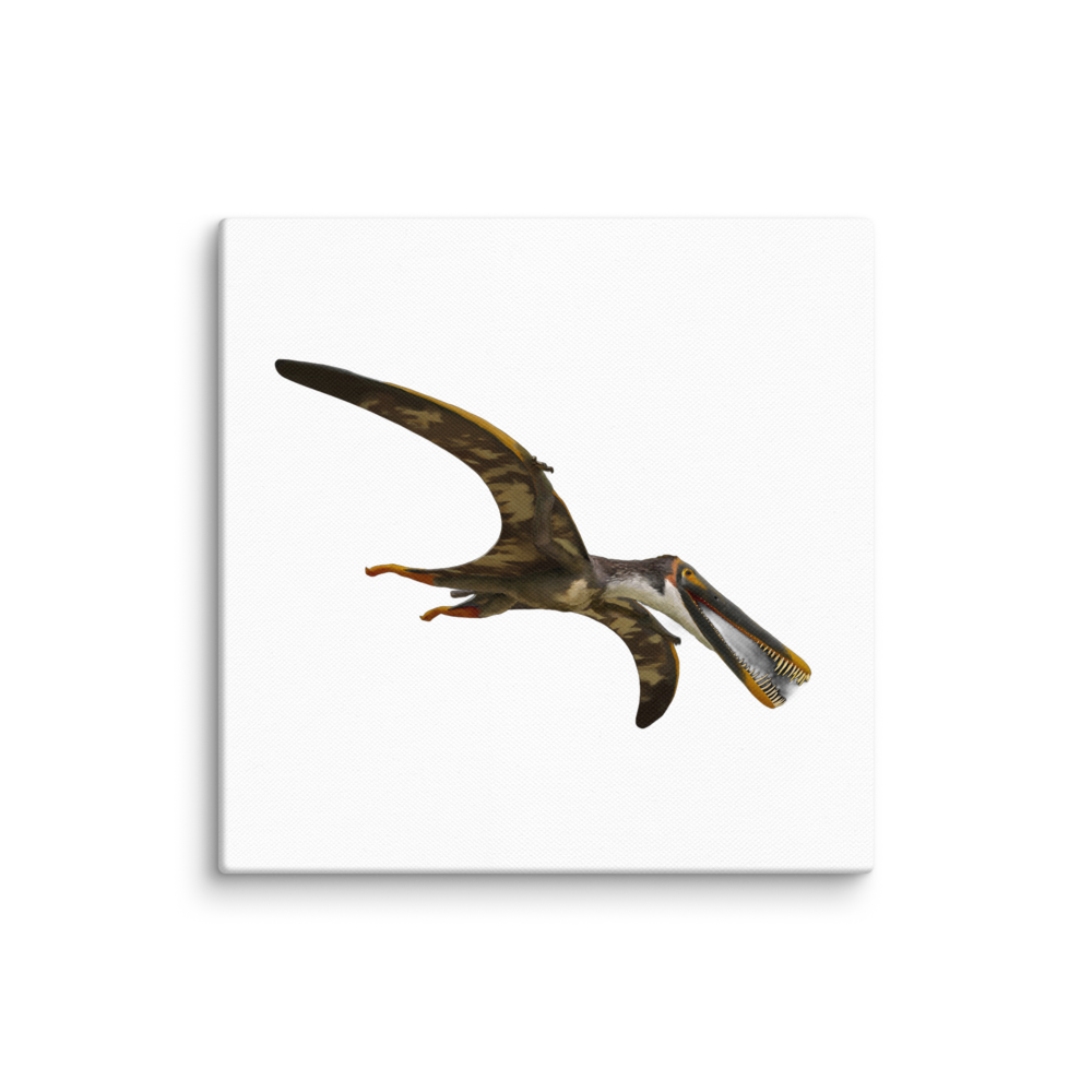 Boreopterus giganticus canvas