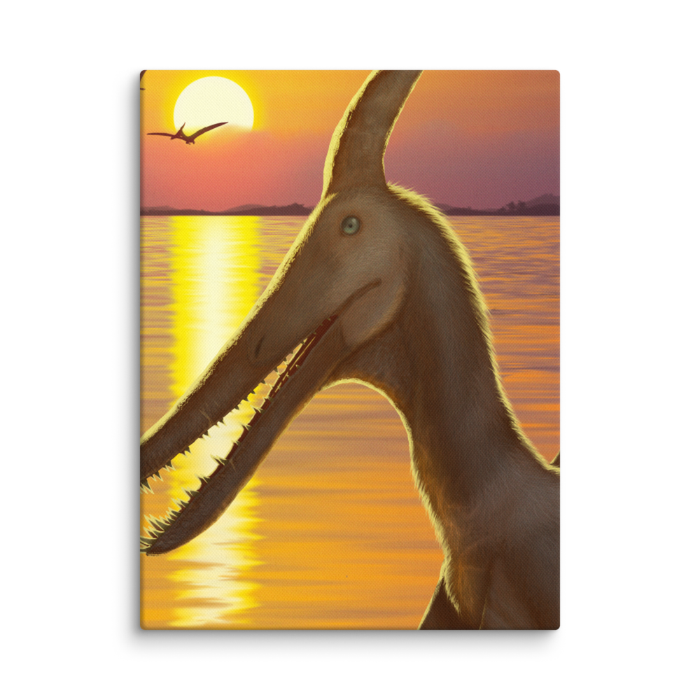 Ludodactylus Sunset — Canvas 12×16