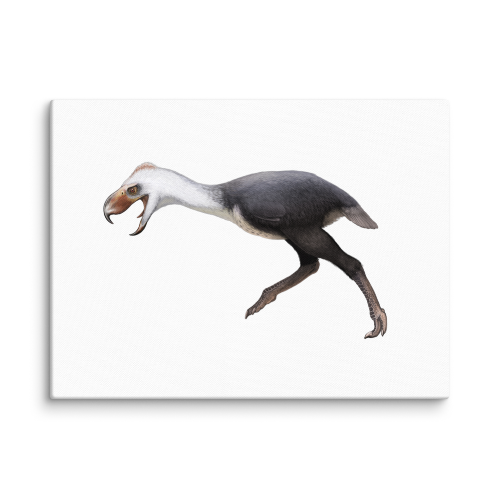 Phorusrhacos Longissimus canvas