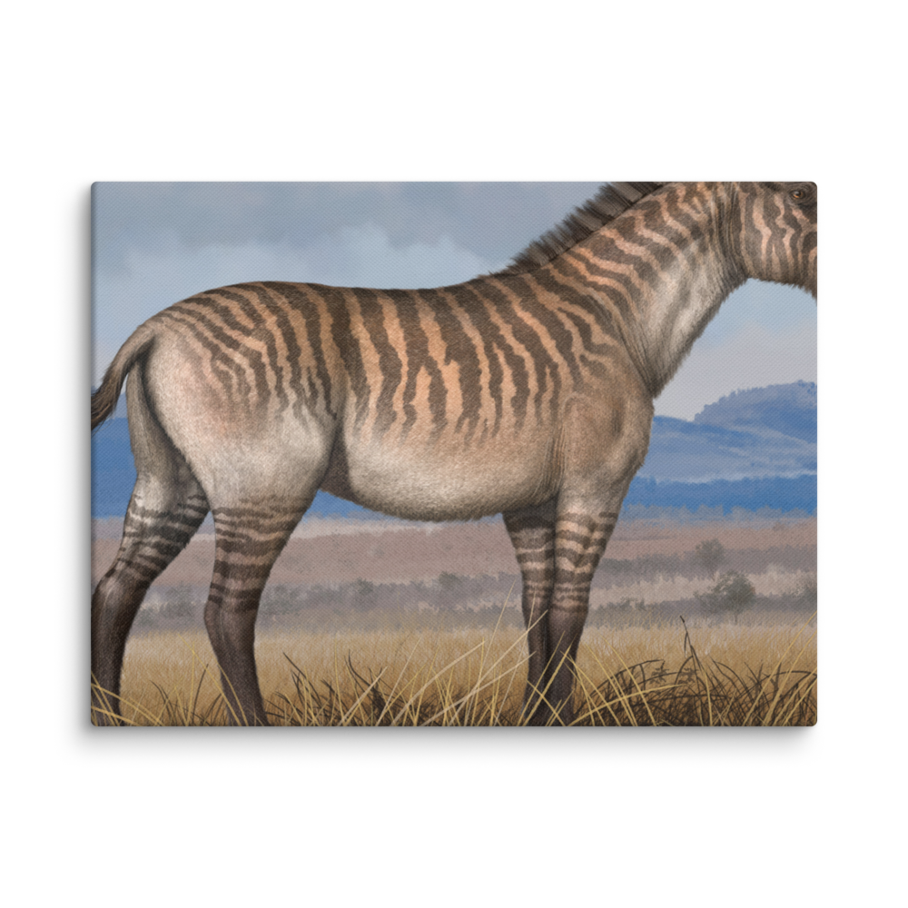 Equus (Allohippus) sanmeniensis canvas