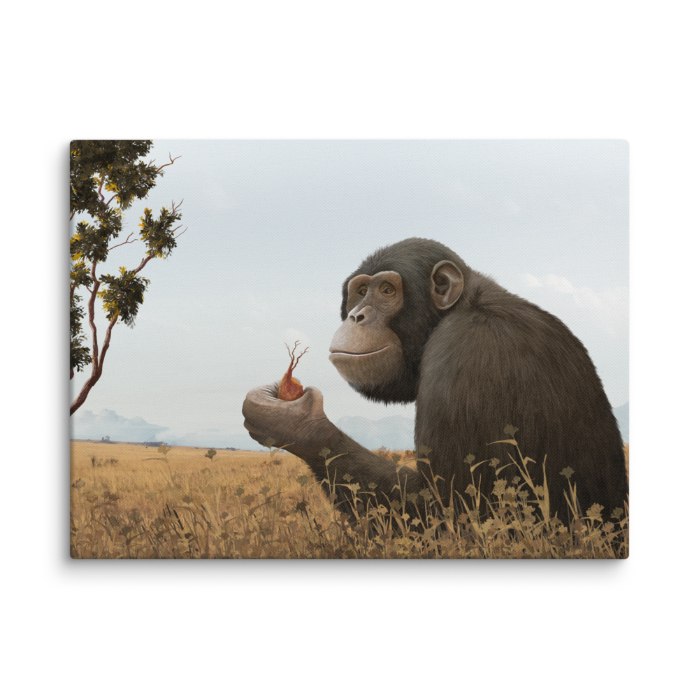 Ouranopithecus — Canvas 12×16