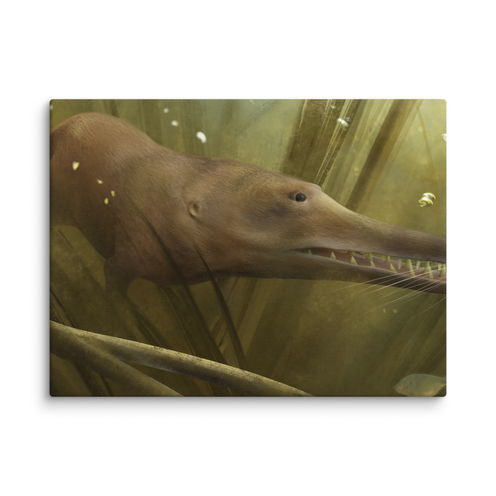 Kutchicetus minimus — Canvas 12×16