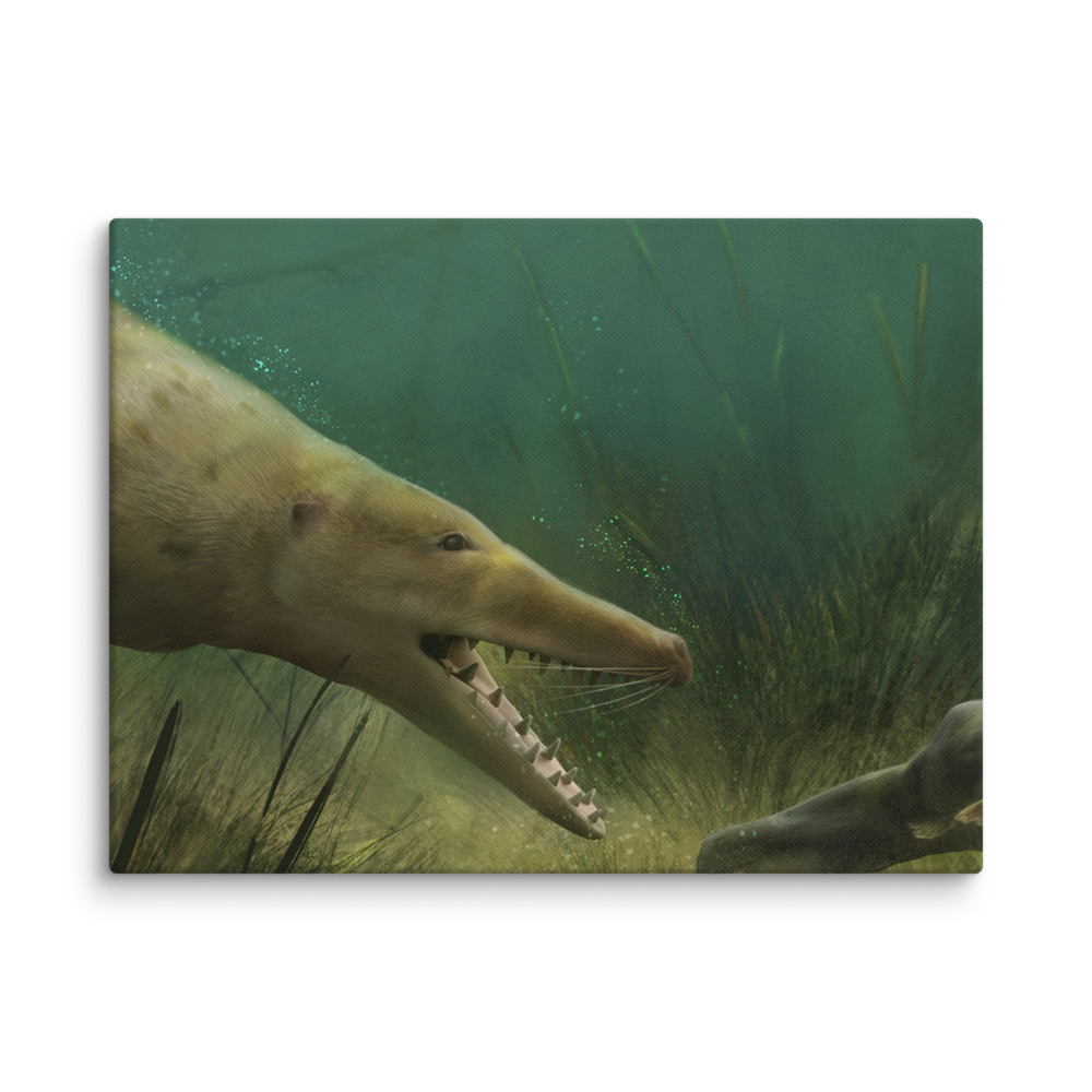 Ambulocetus natans canvas