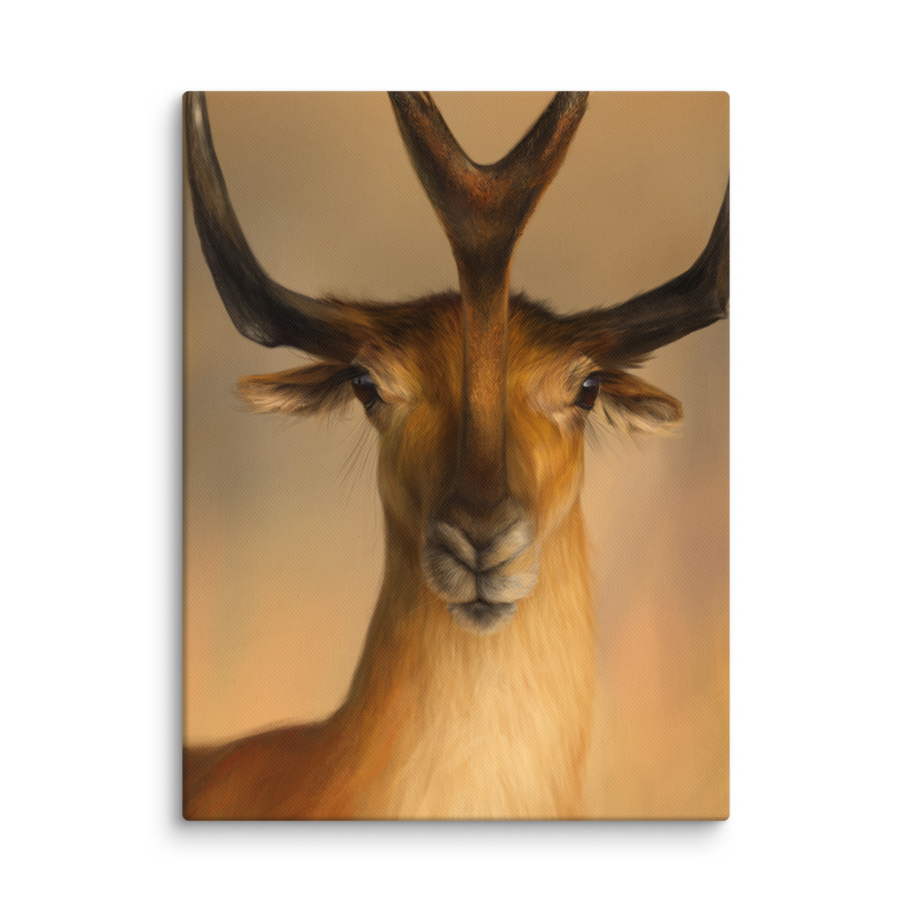 Synthetoceras tricornatus — Canvas 12×16