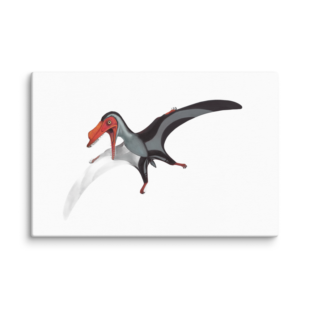 Painten pro-pterodactyloid — Canvas 12×18