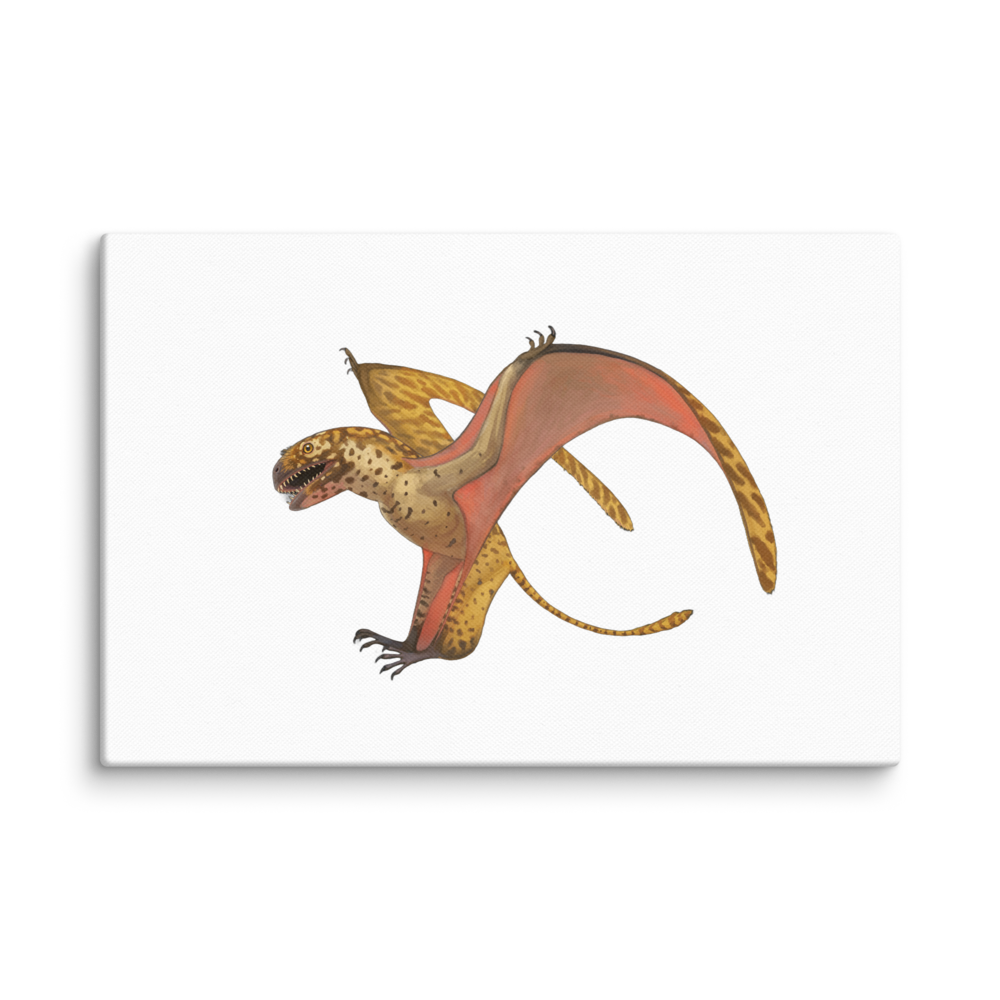 Dimorphodon Weintraubi — Canvas 12×18