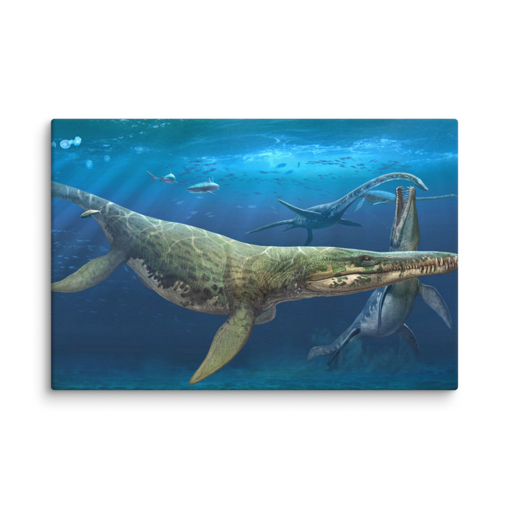 Kronosaurus queenslandicus — Canvas 12×18