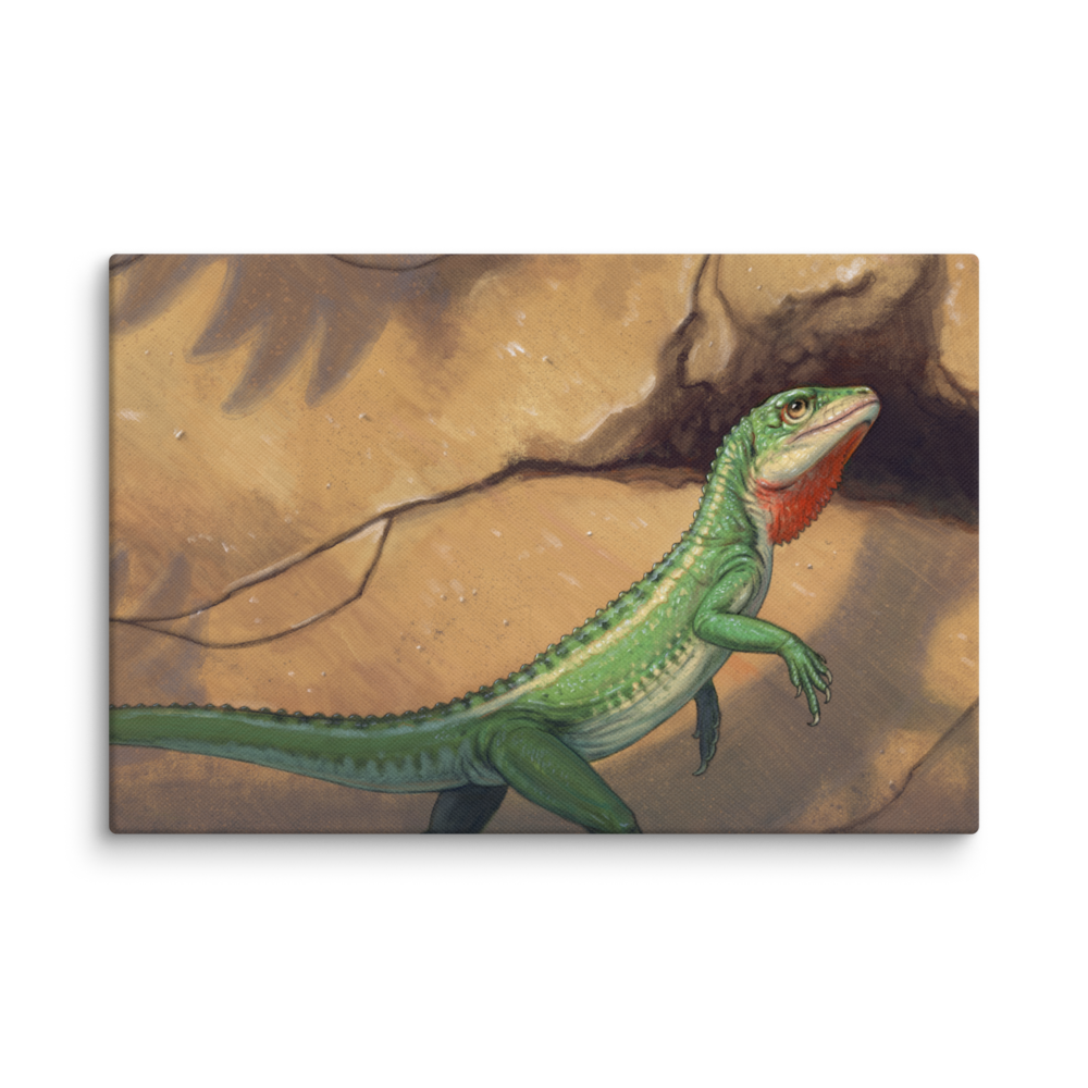 Eudibamus canvas