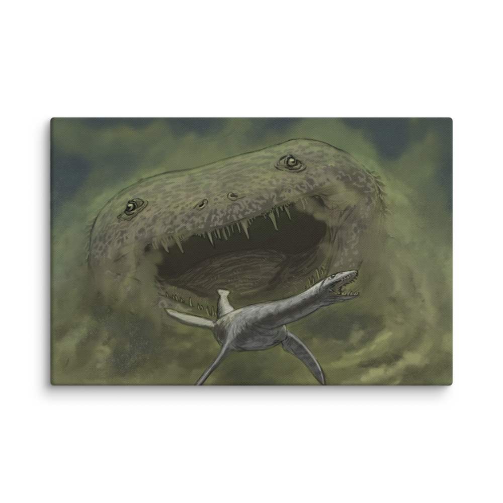 Siderops canvas