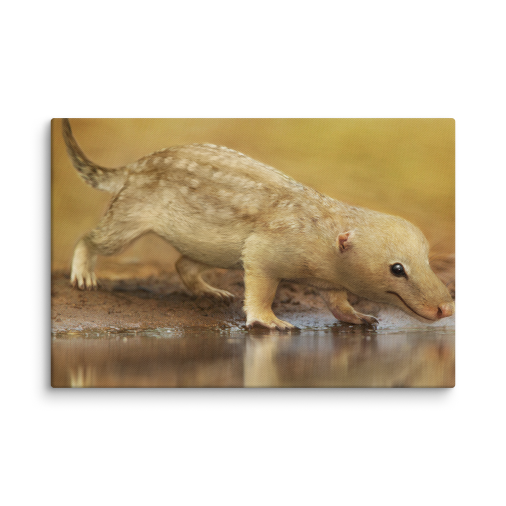 Bonacynodon schultzi — Canvas 12×18