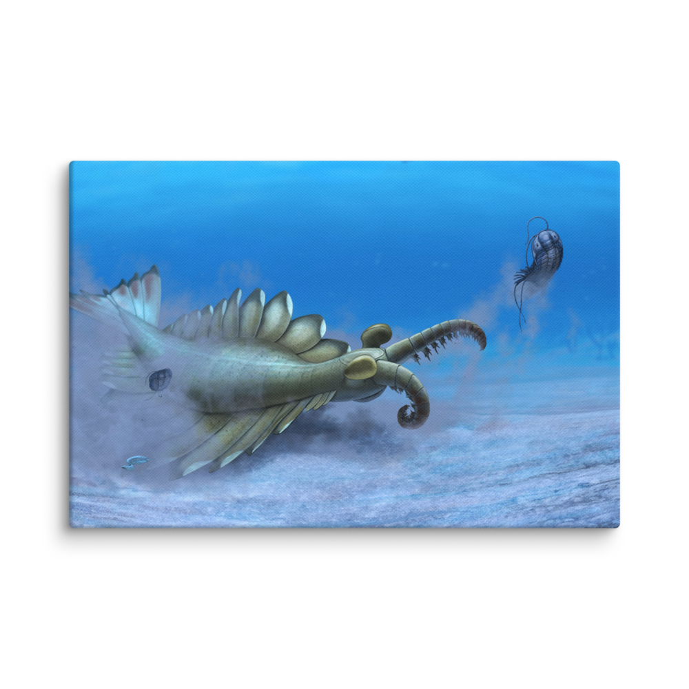 Anomalocaris sp. — Canvas 12×18
