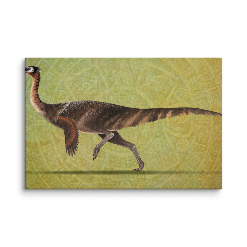 Saltillomimus rapidus canvas