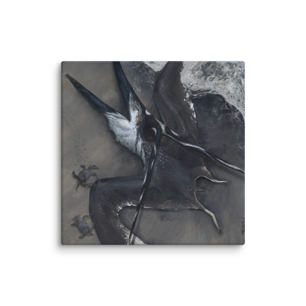 Nyctosaurus Washed Ashore — Canvas 14×14