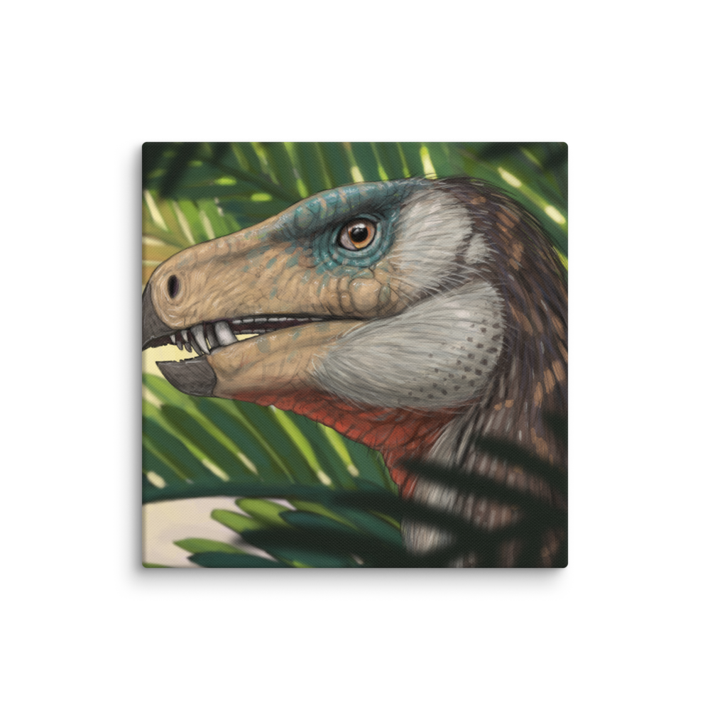 Heterodontosaurus — Canvas 14×14