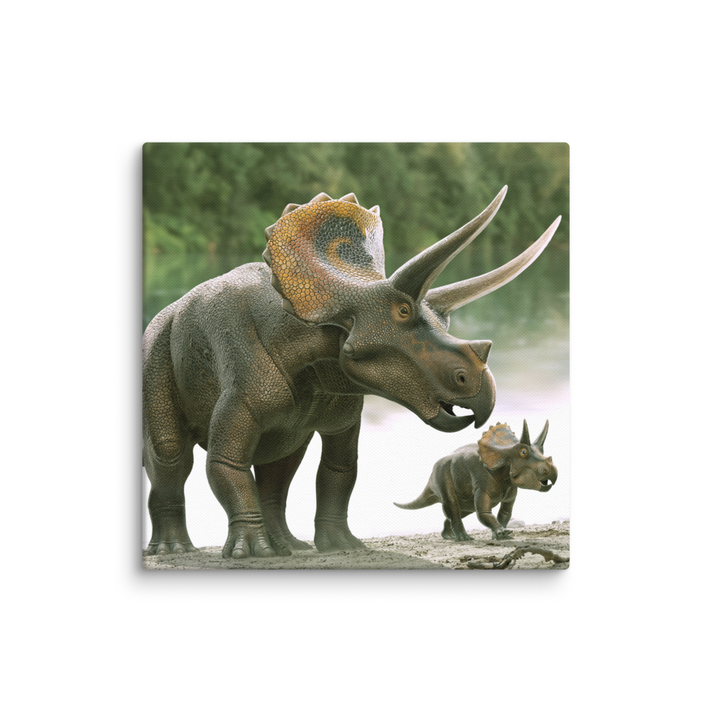 Triceratops With Its Calf — Canvas 16×16