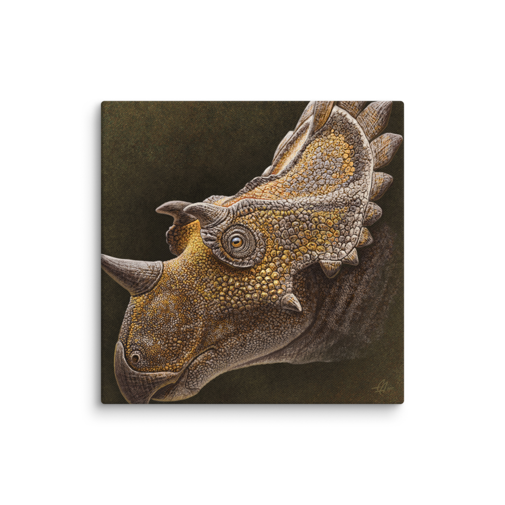 Regaliceratops — Canvas 16×16