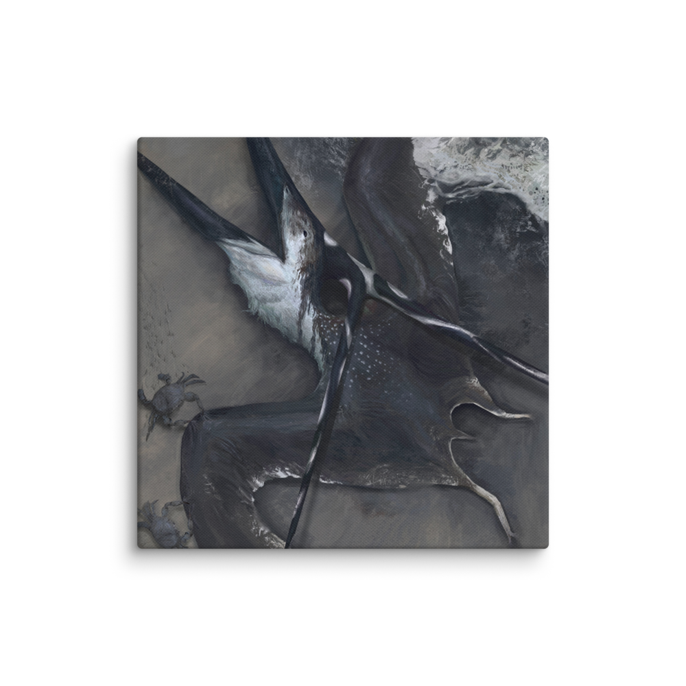 Nyctosaurus Washed Ashore — Canvas 16×16