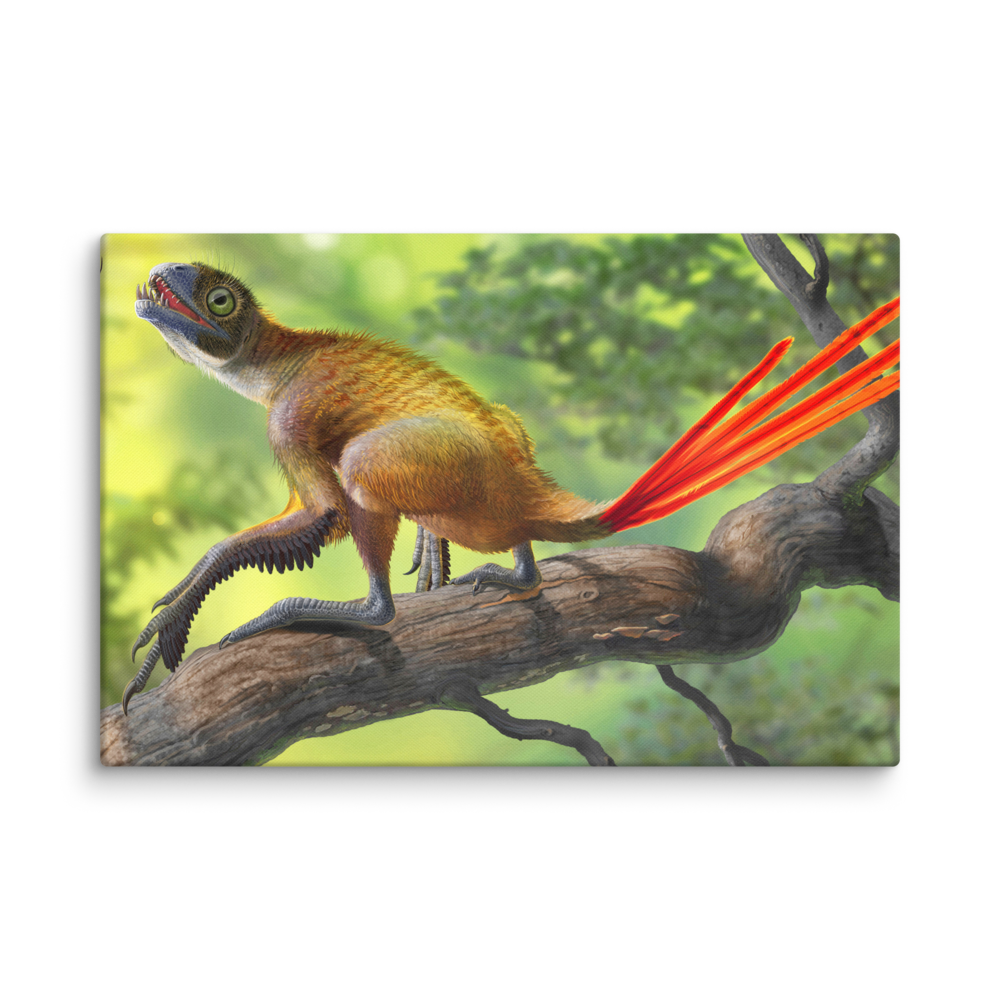 Epidexipteryx hui and Mongolarachne — Canvas 16×24
