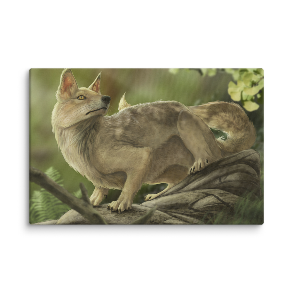 Hesperocyon sp. — Canvas 16×24