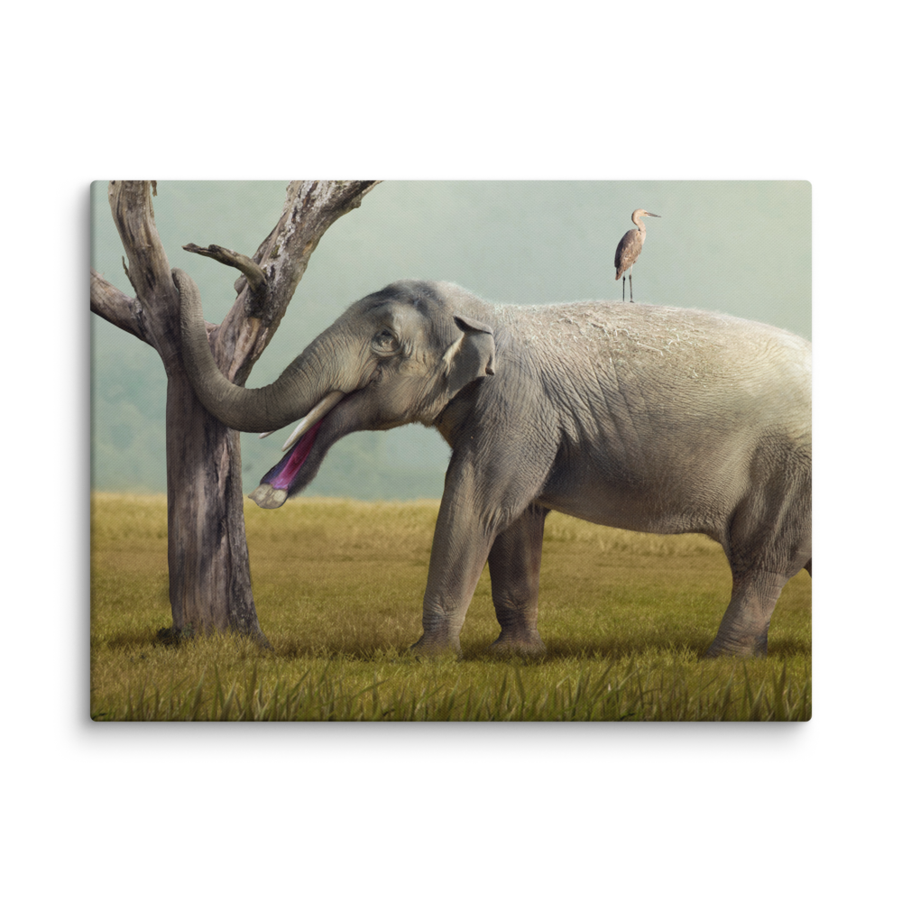 Platybelodon grangeri — Canvas 18×24
