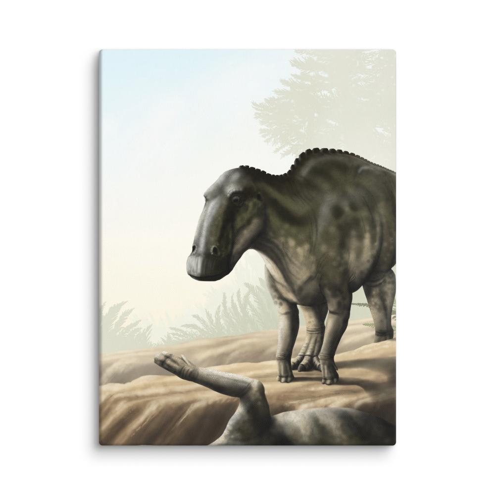 Edmontosaurus annectens — Canvas 18×24