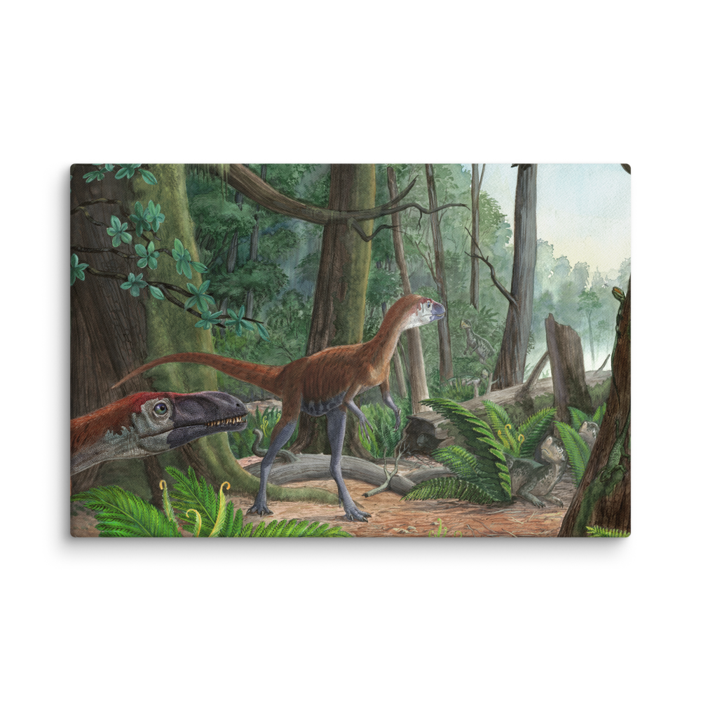 Dilong - Morning in the Chinese Forest — Canvas 20×30