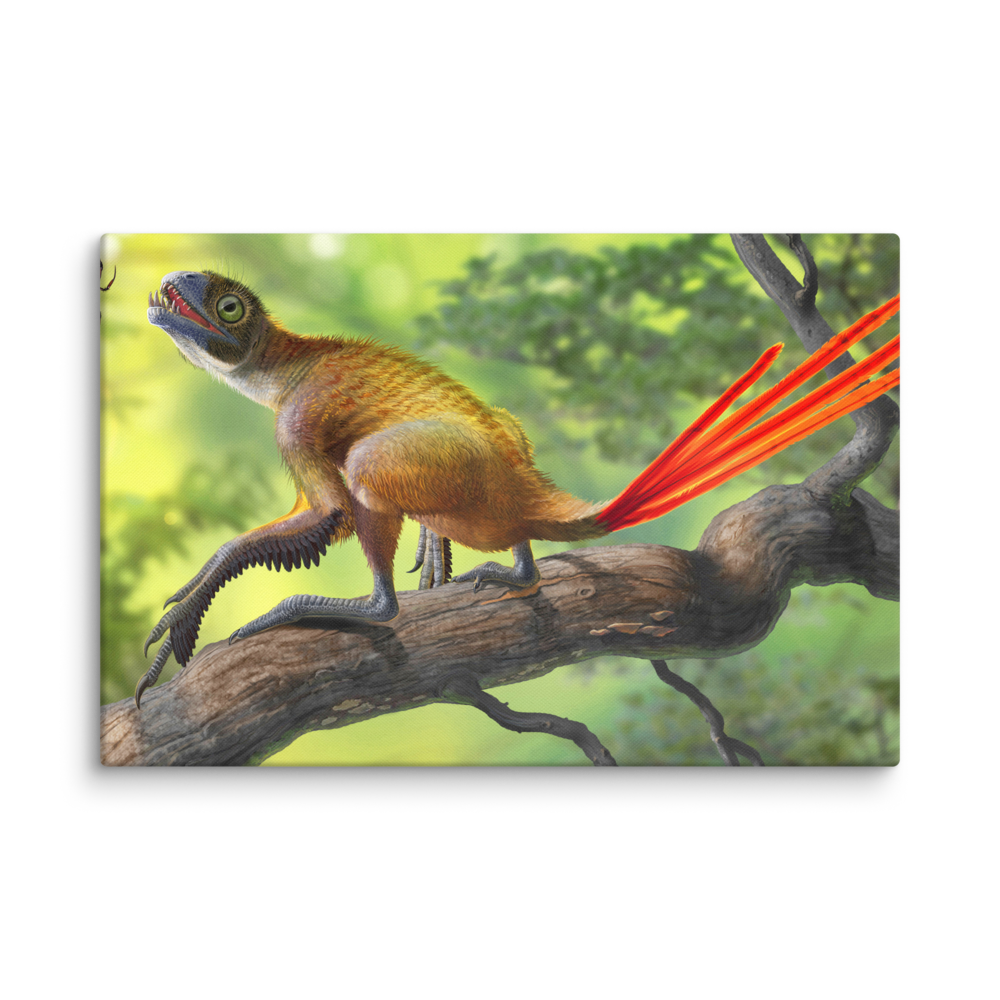 Epidexipteryx hui and Mongolarachne — Canvas 20×30