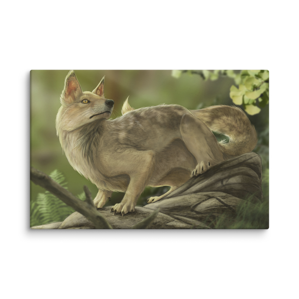 Hesperocyon sp. — Canvas 20×30