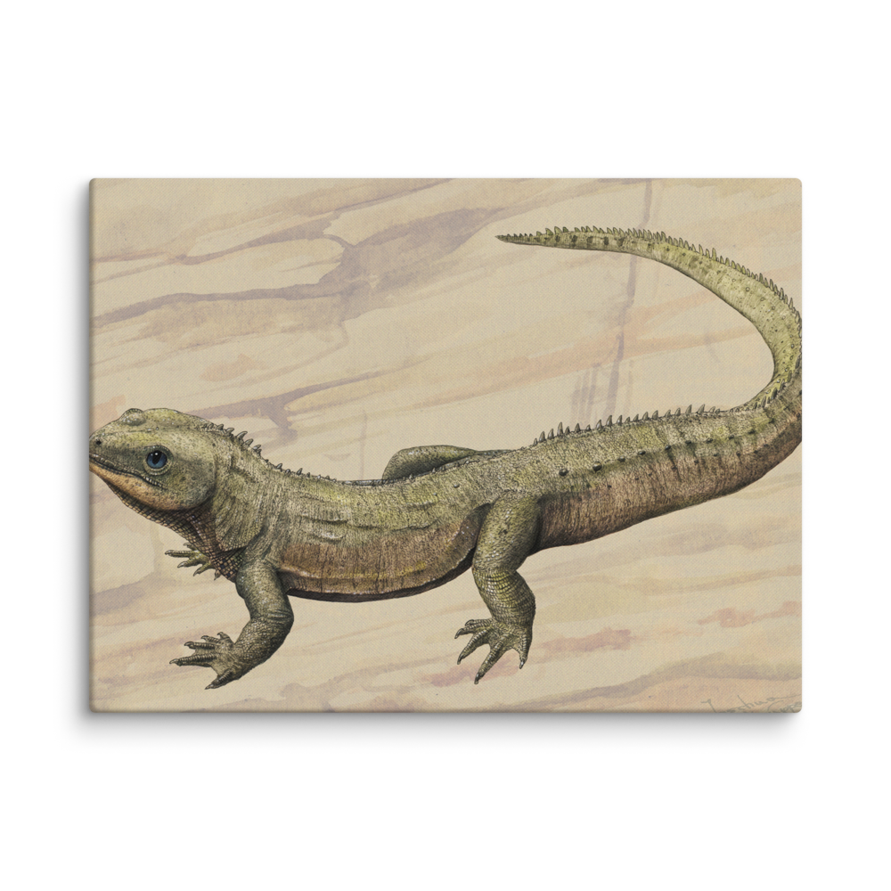 Oenosaurus muehlheimensis — Canvas 24×32