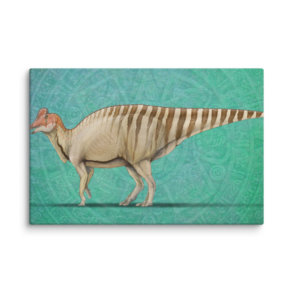 Velafrons coahuilensis — Canvas 24×36
