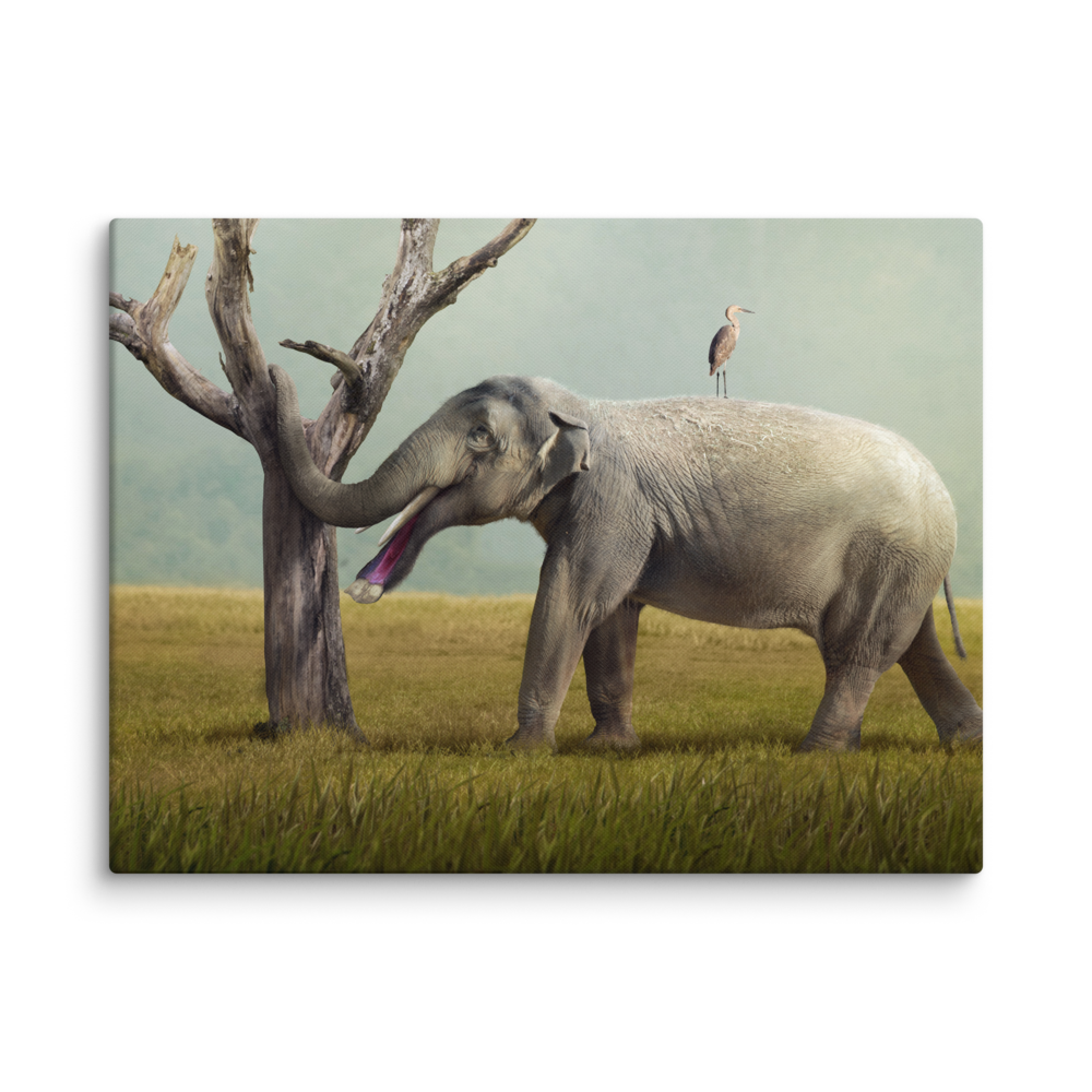 Platybelodon grangeri — Canvas 30×40