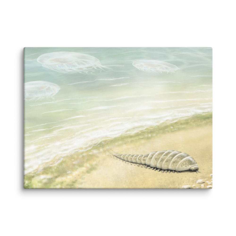 Euthycarcinoid, early land arthropod — Canvas 30×40