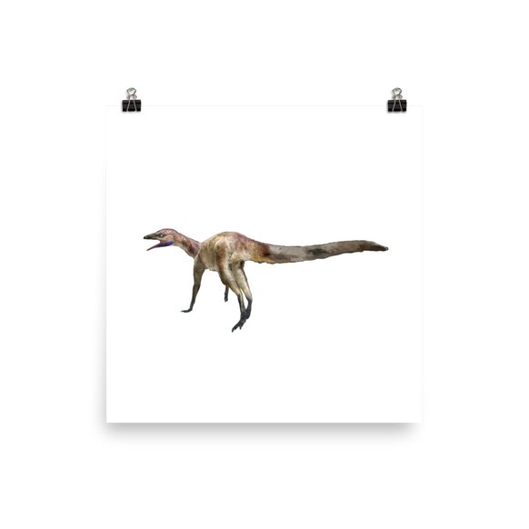 Dromomeron gigas poster