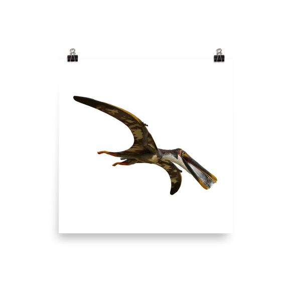 Boreopterus giganticus — Poster 12×12