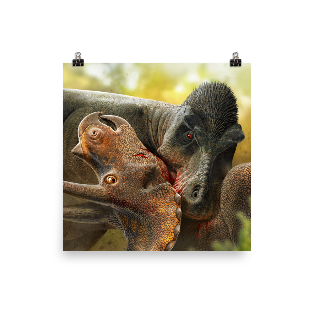 Tyrannosaurus Biting Triceratops poster