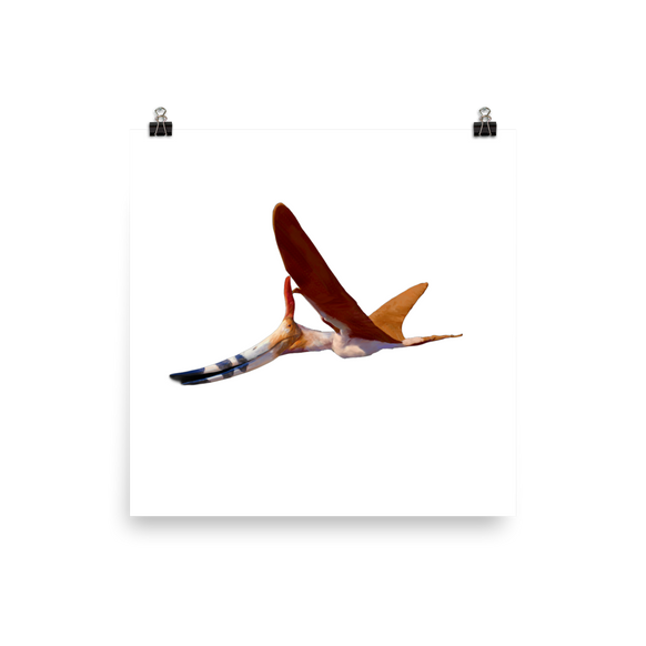 Dawndraco kanzai — Poster 12×12
