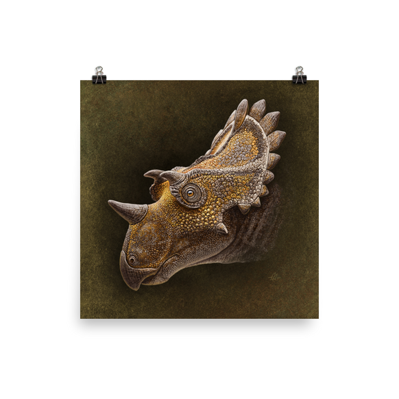 Regaliceratops — Poster 12×12