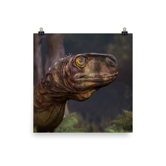 Llukalkan Head — Poster 12×12