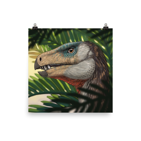 Heterodontosaurus poster