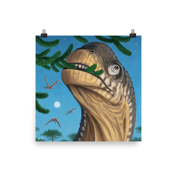Camarasaurus Close-up poster