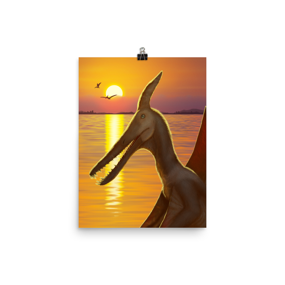Ludodactylus Sunset poster