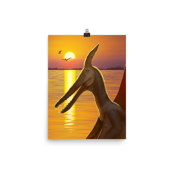 Ludodactylus Sunset poster
