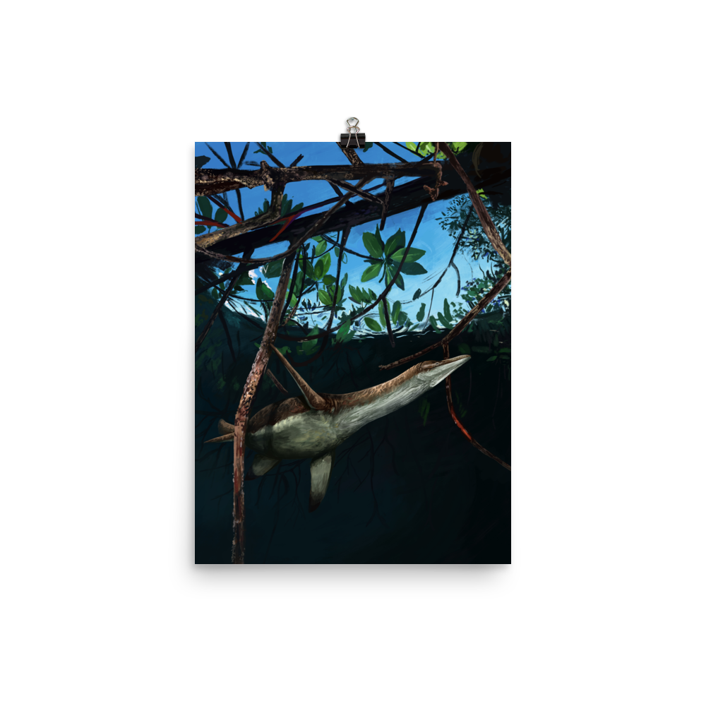 Thililua Among Mangroves — Poster 12×16