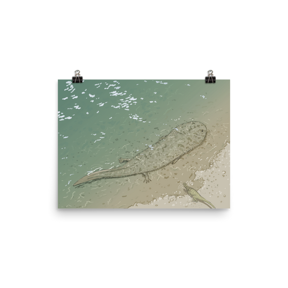 Koolasuchus — Poster 12×16