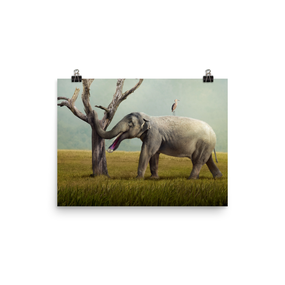Platybelodon grangeri — Poster 12×16