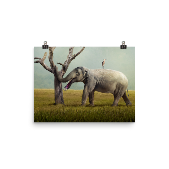 Platybelodon grangeri poster