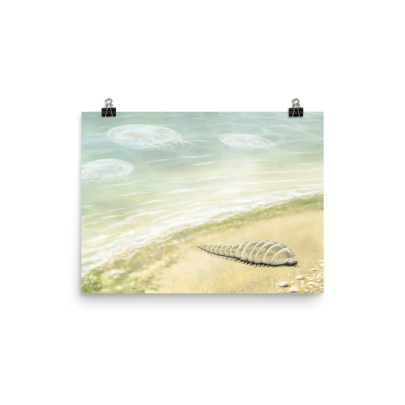 Euthycarcinoid, early land arthropod — Poster 12×16