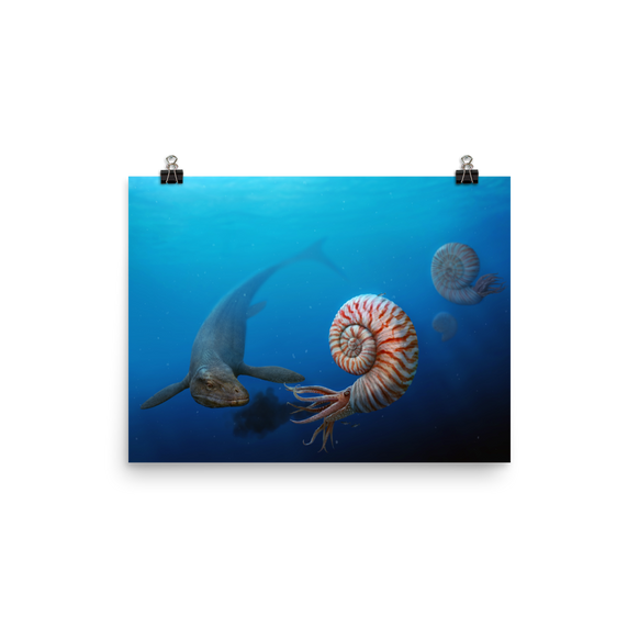Parapuzosia vs Mosasaurus — Poster 12×16