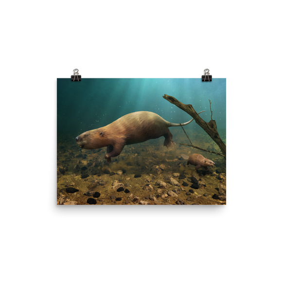 Castoroides poster